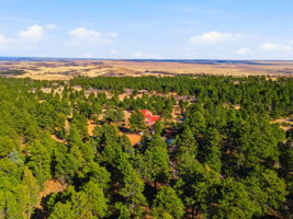 DJI_0152