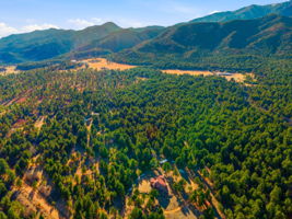 DJI_0262