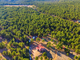 DJI_0267