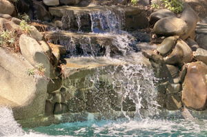  Photo 52