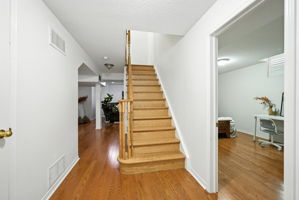  Photo 49