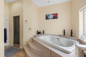 Primary Bathroom (2)