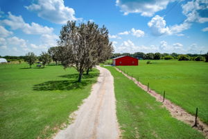 Pritchart Rd-054