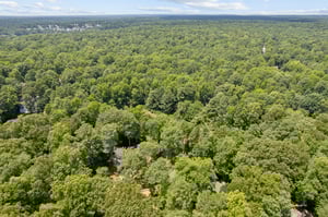 no grass/DJI_0116.jpg
