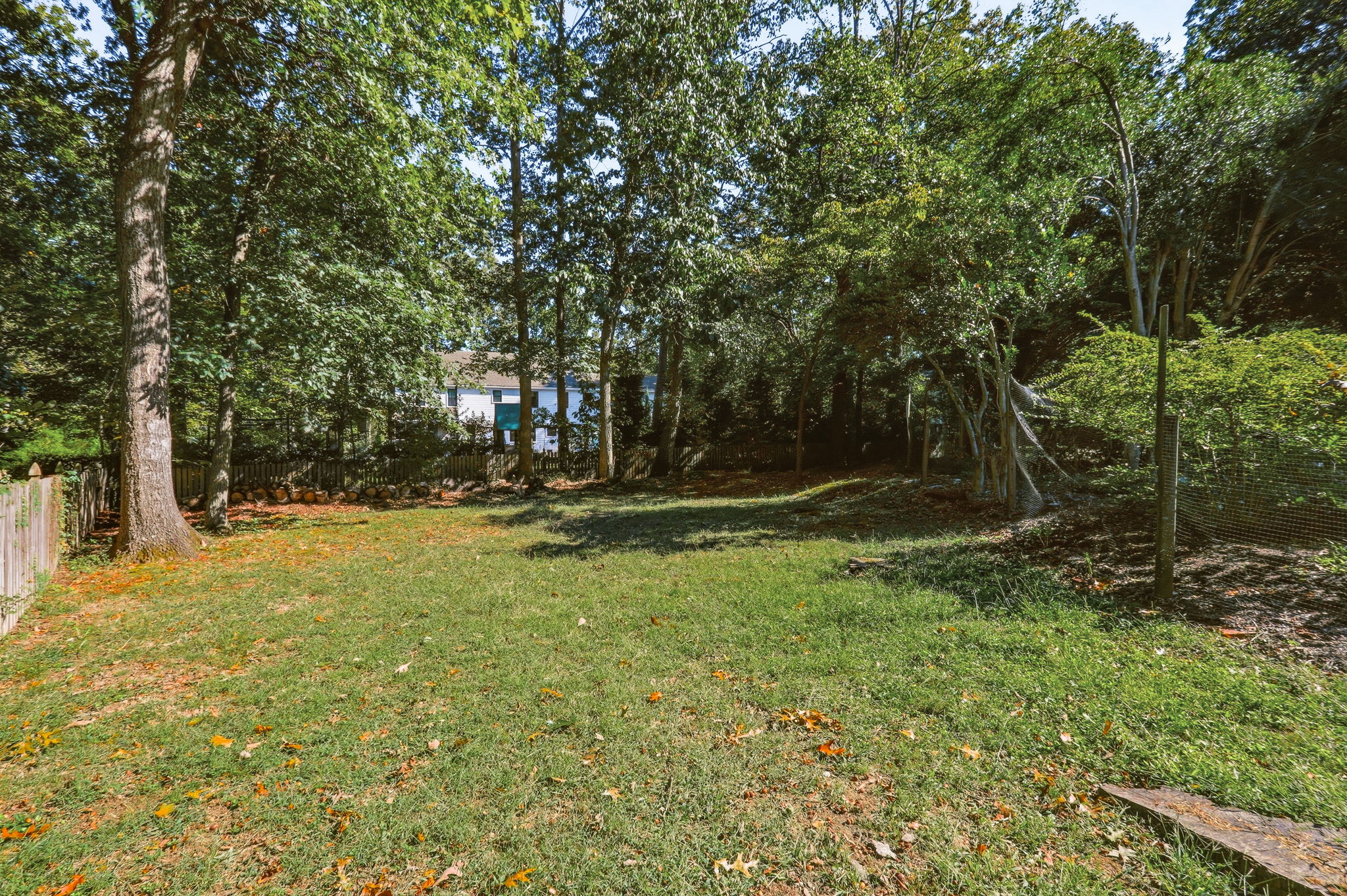 49-Backyard