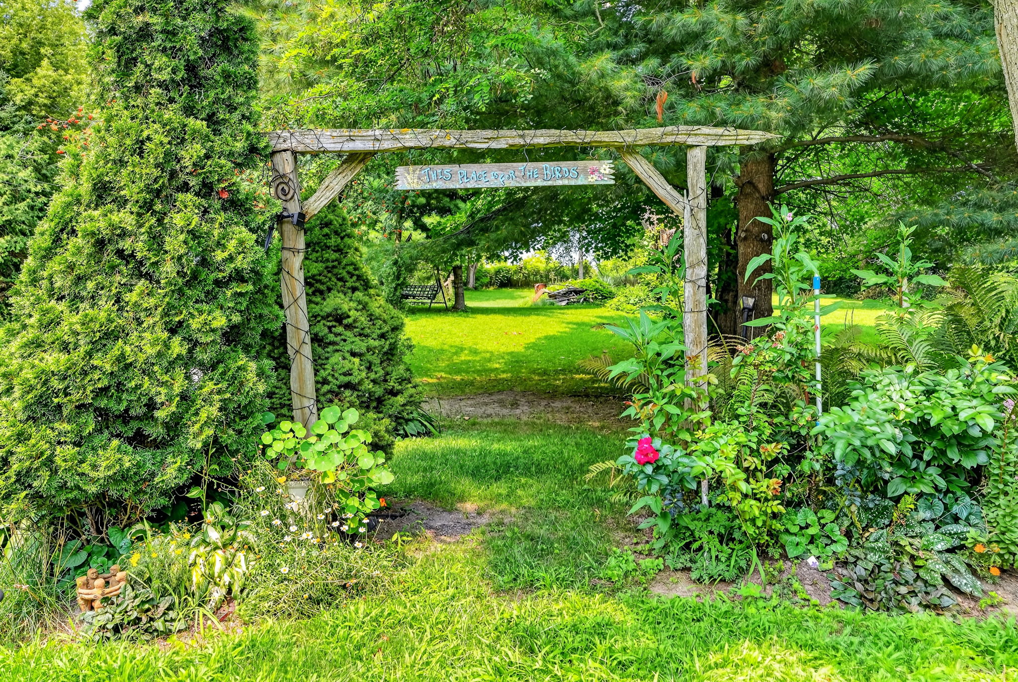  Photo 51