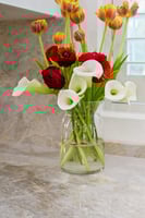 Perthshire Rd-S2903-036.jpg