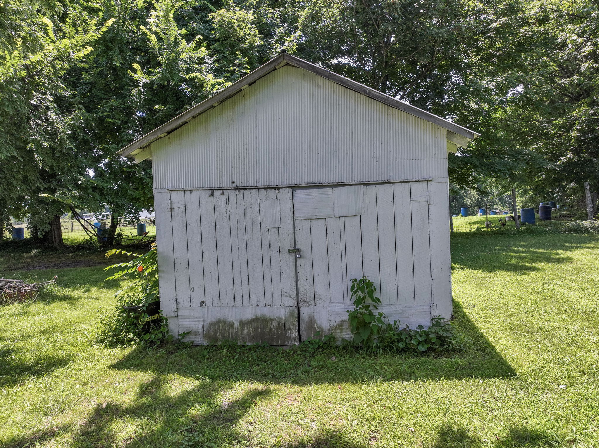  Photo 21
