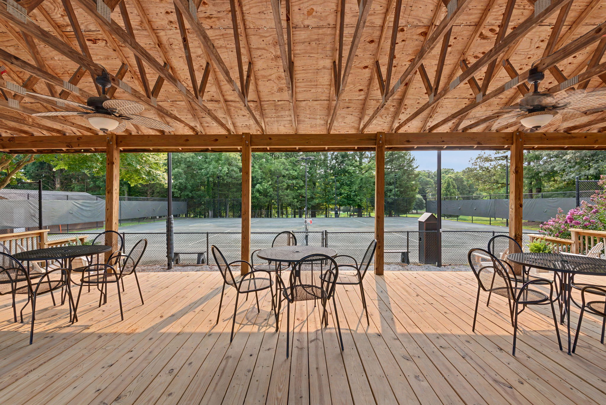  Photo 84