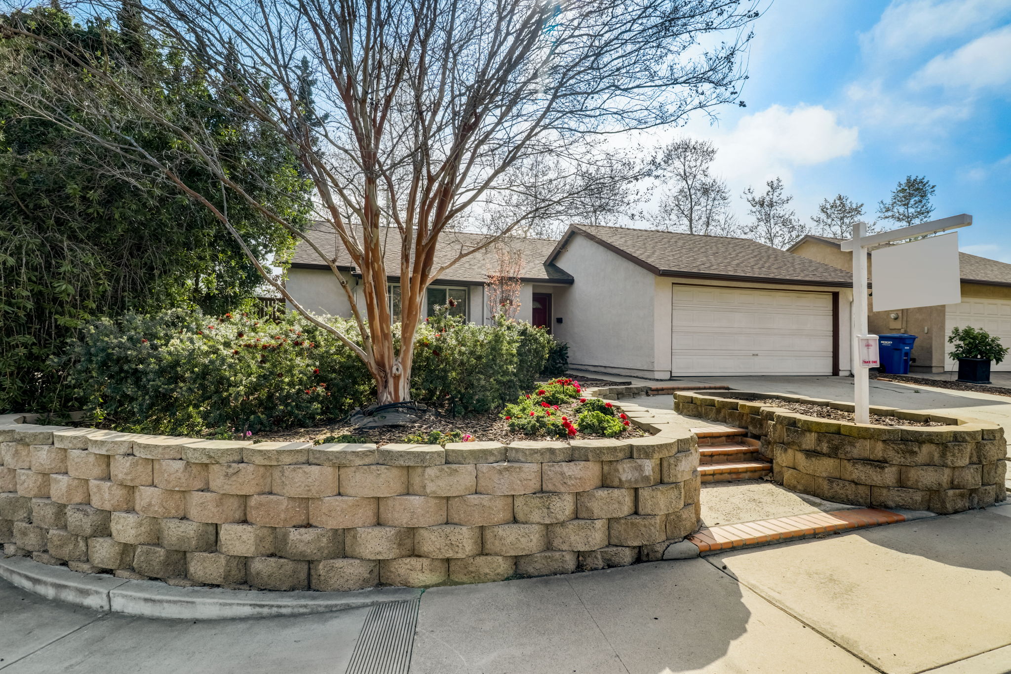Olive Mesa Ct-003
