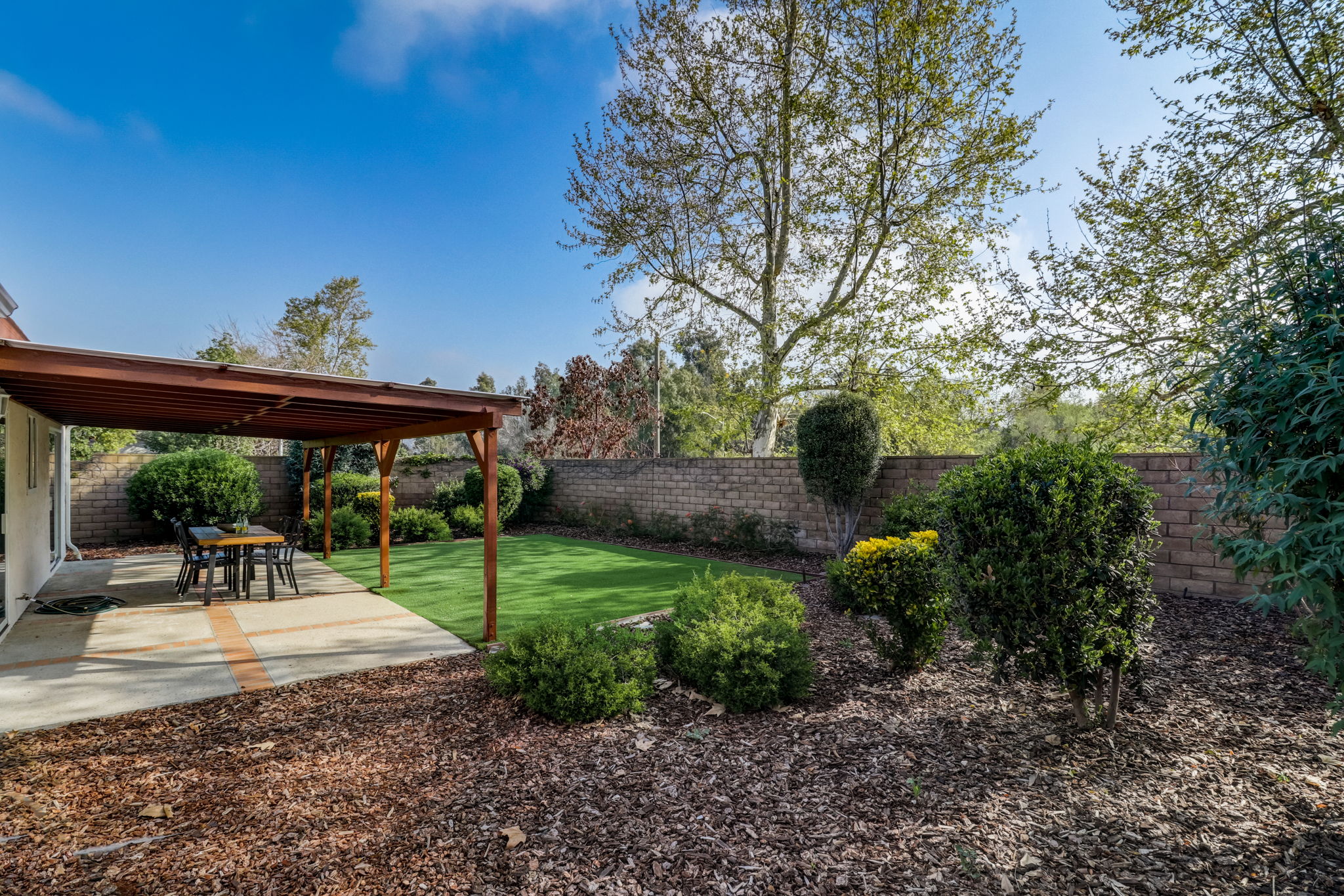 Olive Mesa Ct-057