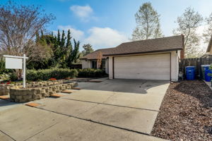 Olive Mesa Ct-001