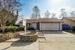 Olive Mesa Ct-002