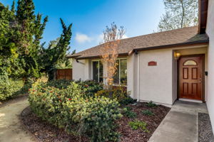 Olive Mesa Ct-004