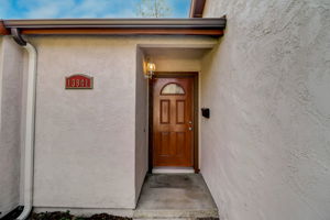 Olive Mesa Ct-005