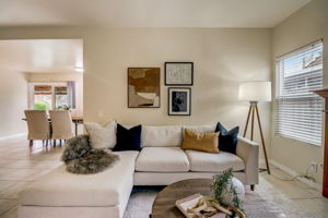 Olive Mesa Ct-011