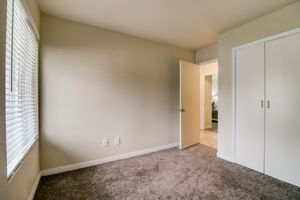 Olive Mesa Ct-031