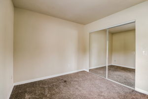 Olive Mesa Ct-037