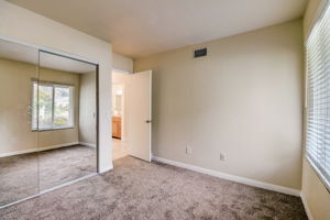 Olive Mesa Ct-038