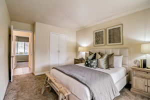 Olive Mesa Ct-042