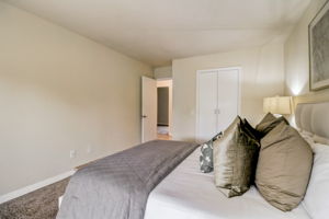 Olive Mesa Ct-043