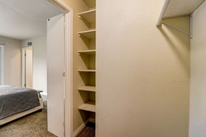 Olive Mesa Ct-047
