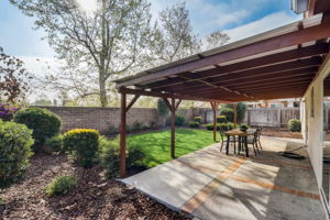 Olive Mesa Ct-052