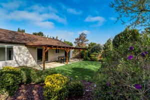 Olive Mesa Ct-055