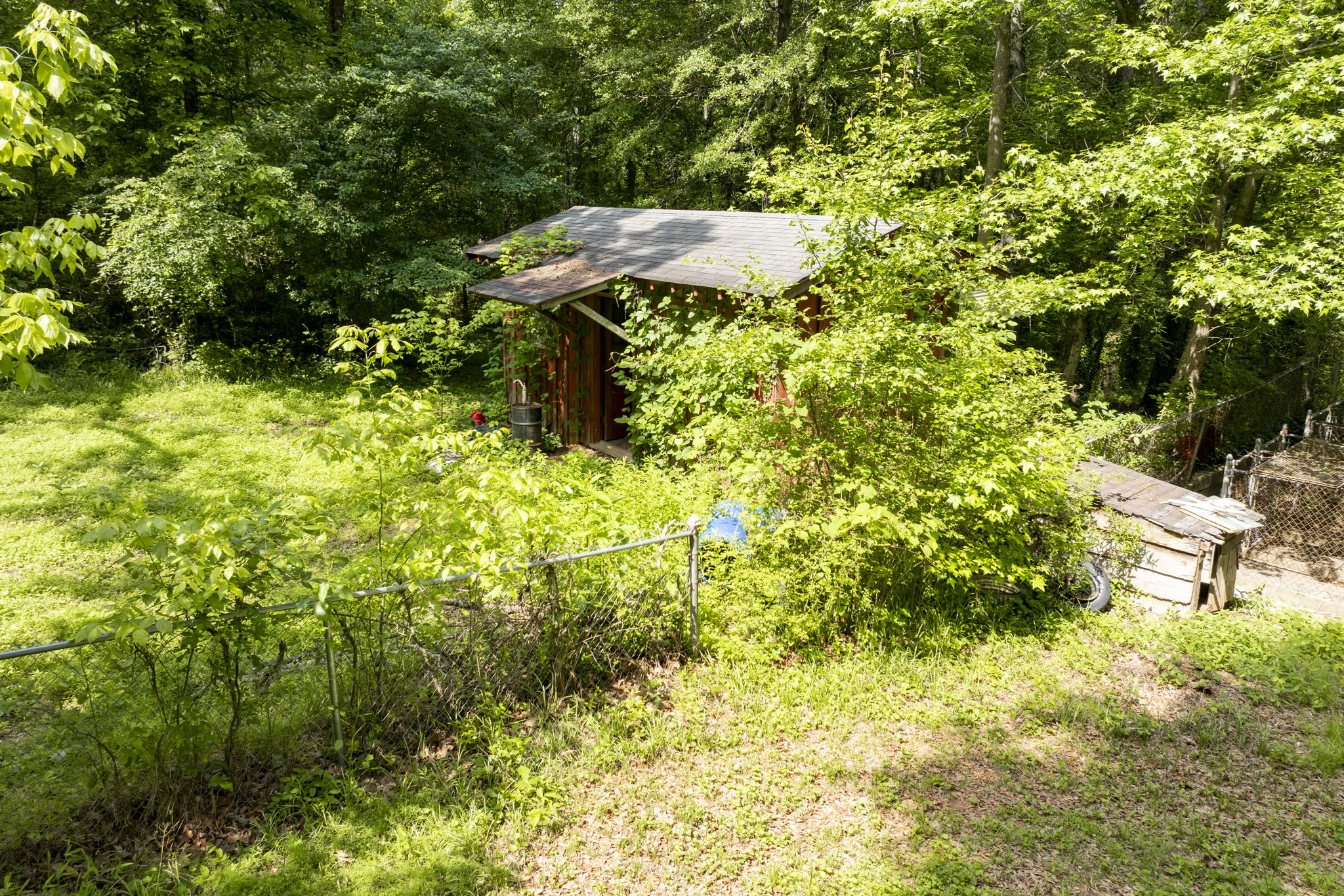  Photo 12
