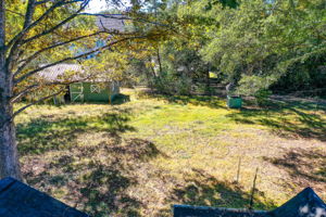 3 Aerial Back Yard w Roofline Reference