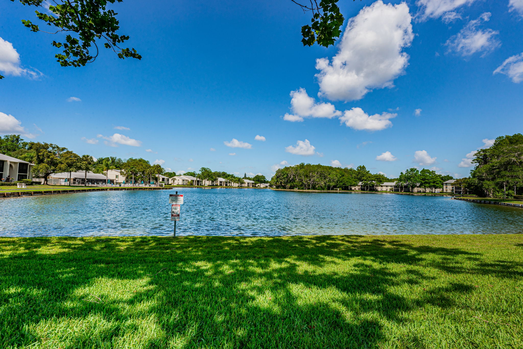 Pond View3