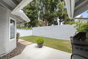  Photo 33