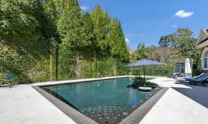 oversized, self-filling gunite pool w seating bench and cocktail table