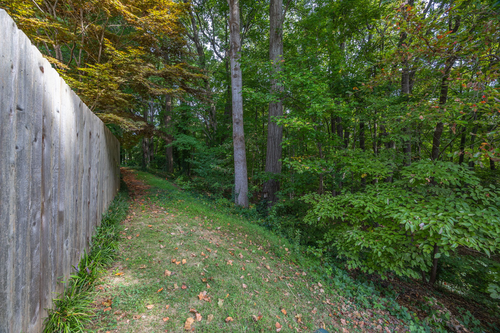14 Brandy Ct-32