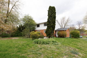  Photo 40