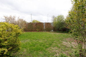 Photo 49