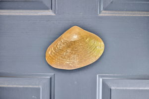  Photo 55