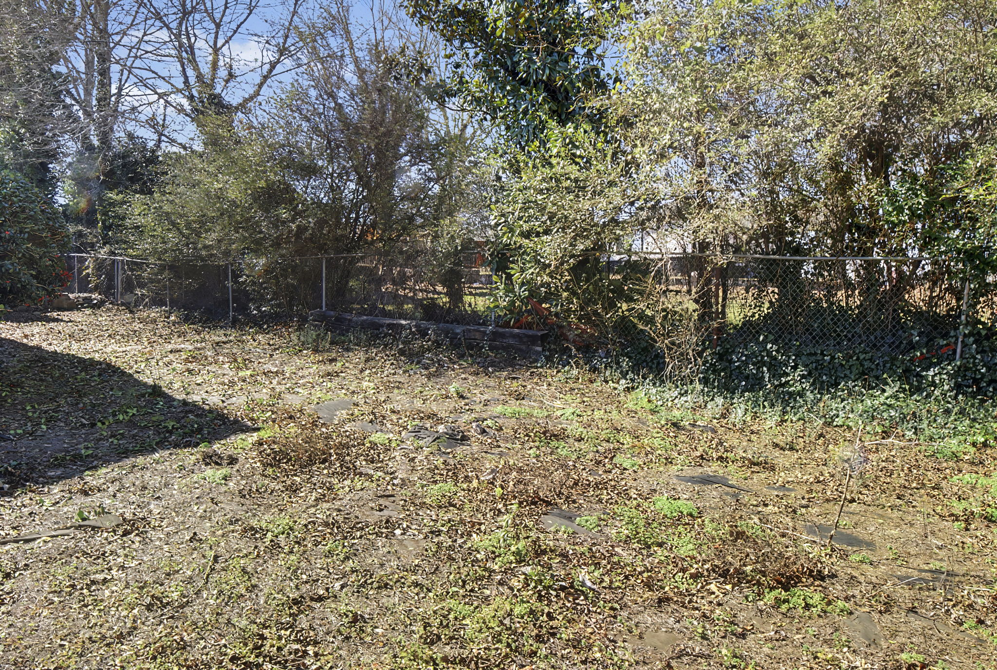  Photo 33