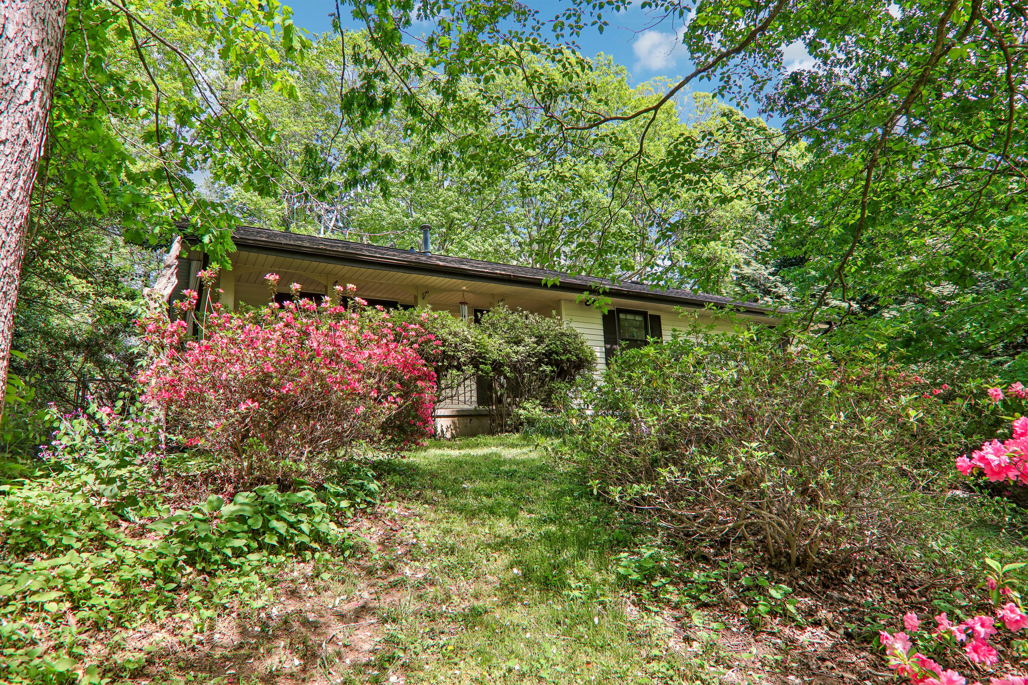 Forest Ridge Dr-S2504-013.jpg