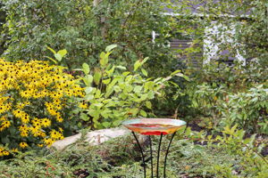  Photo 24