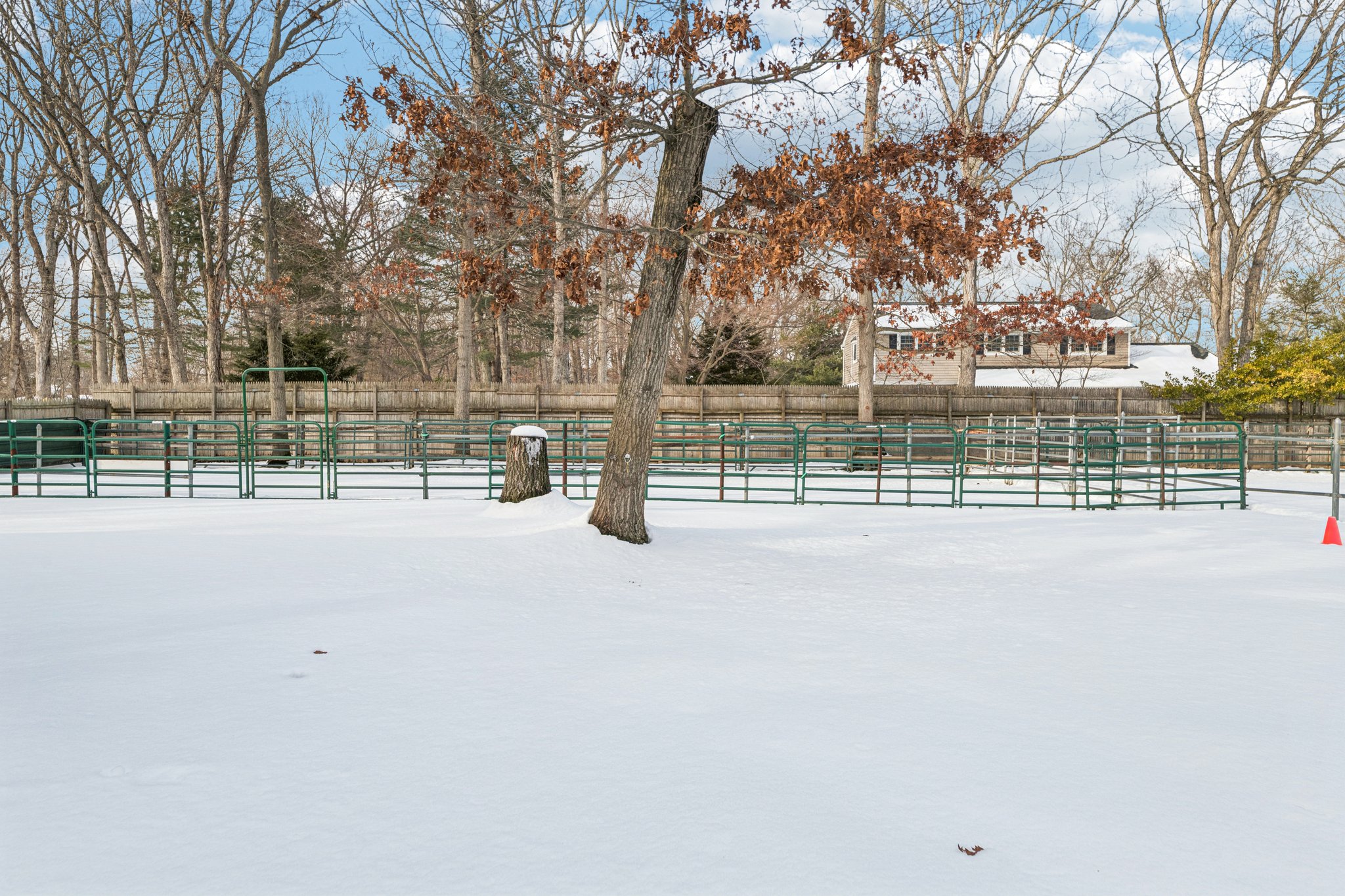 Hillside Ave-S2702-046.jpg