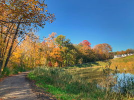  Photo 44