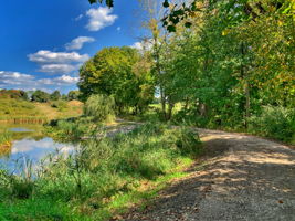  Photo 45