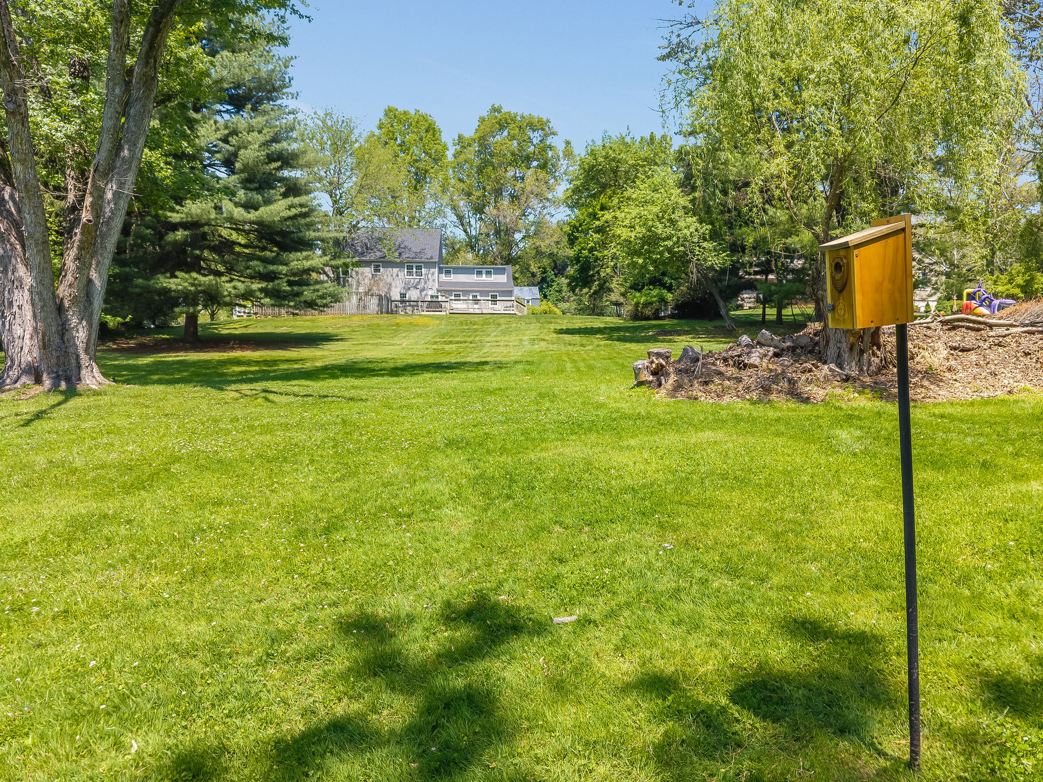  Photo 49