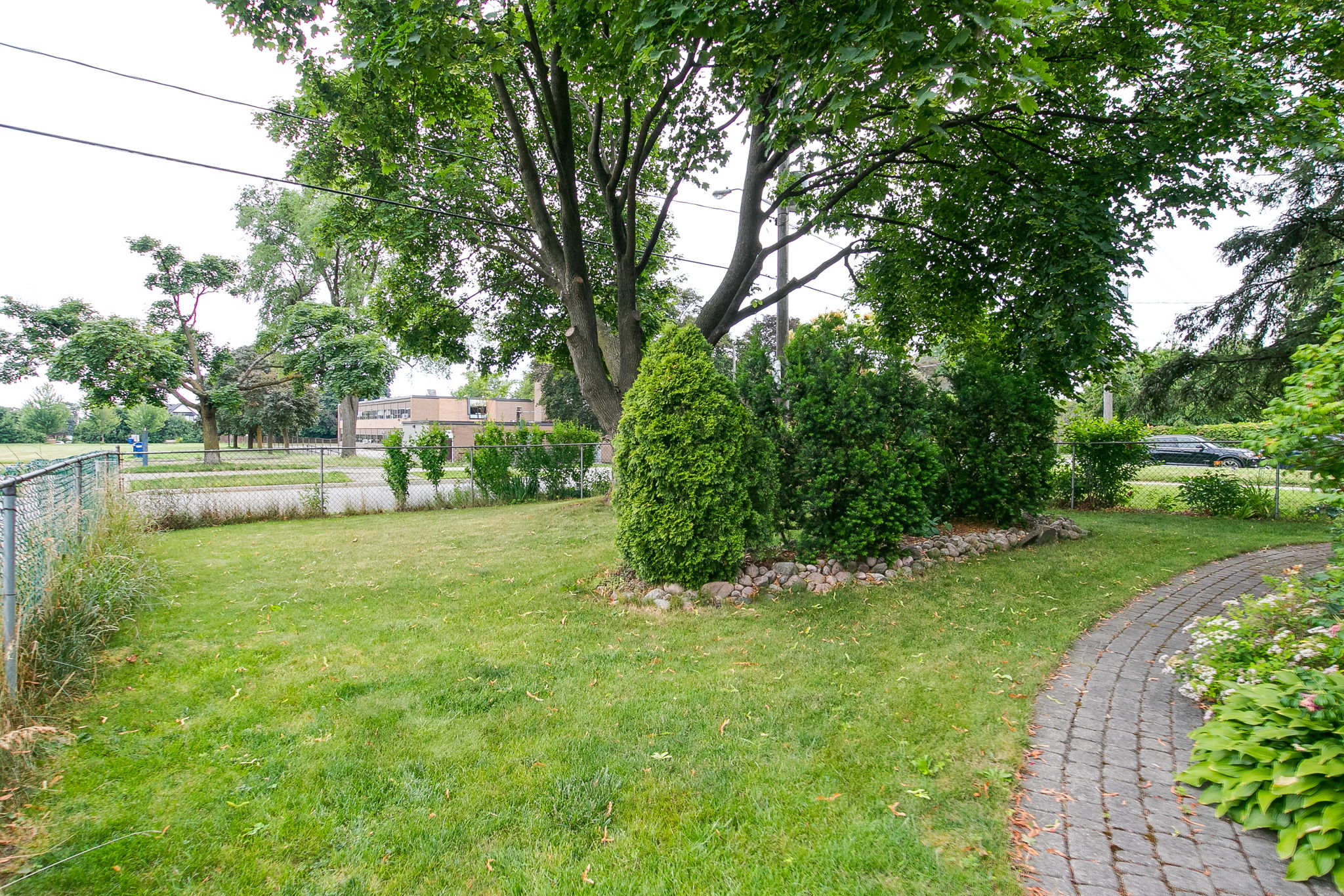  Photo 41