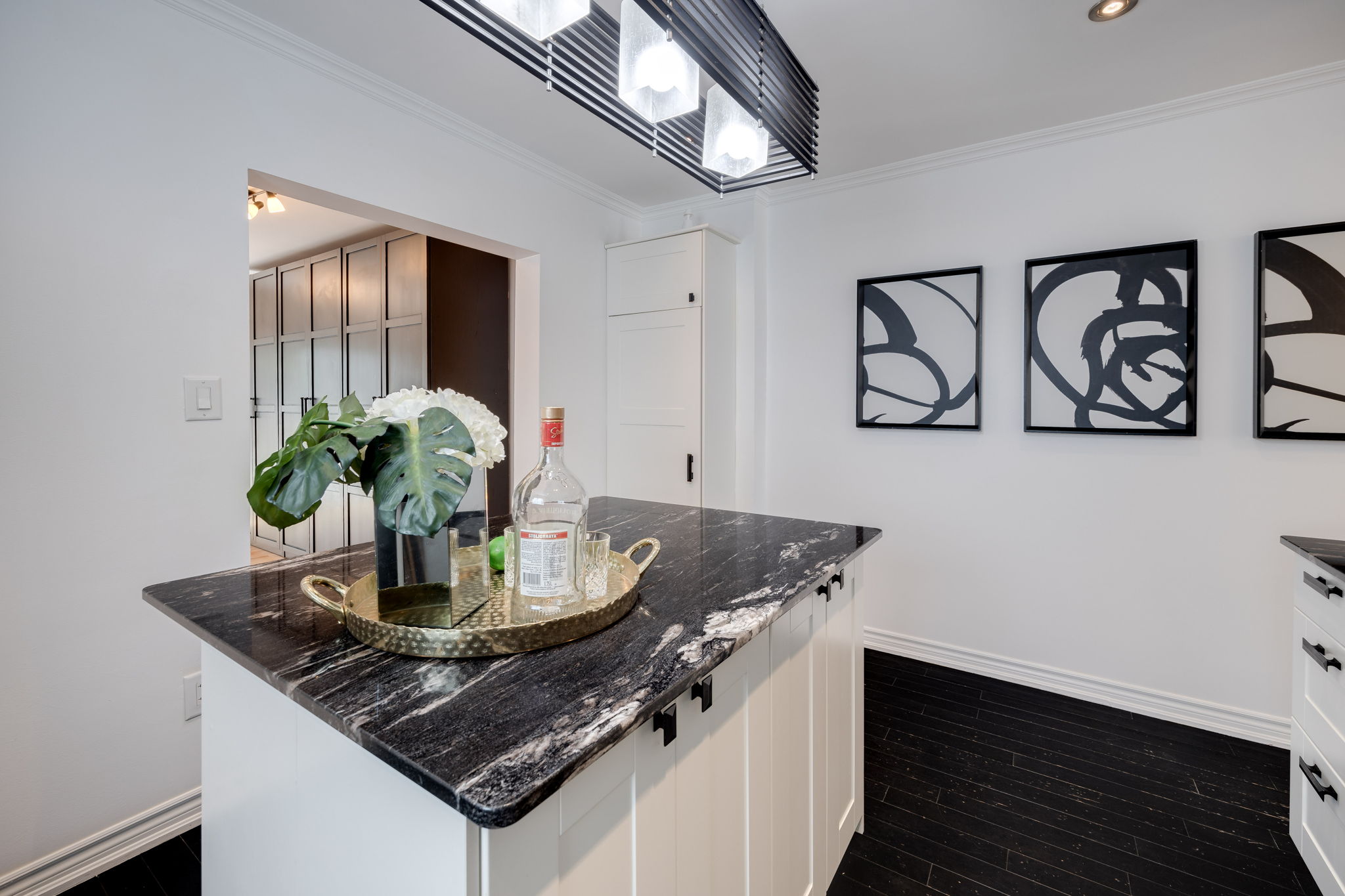 Toronto property showcase — delivered property photograph 12