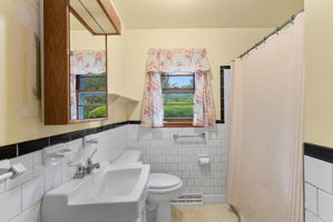  Photo 41