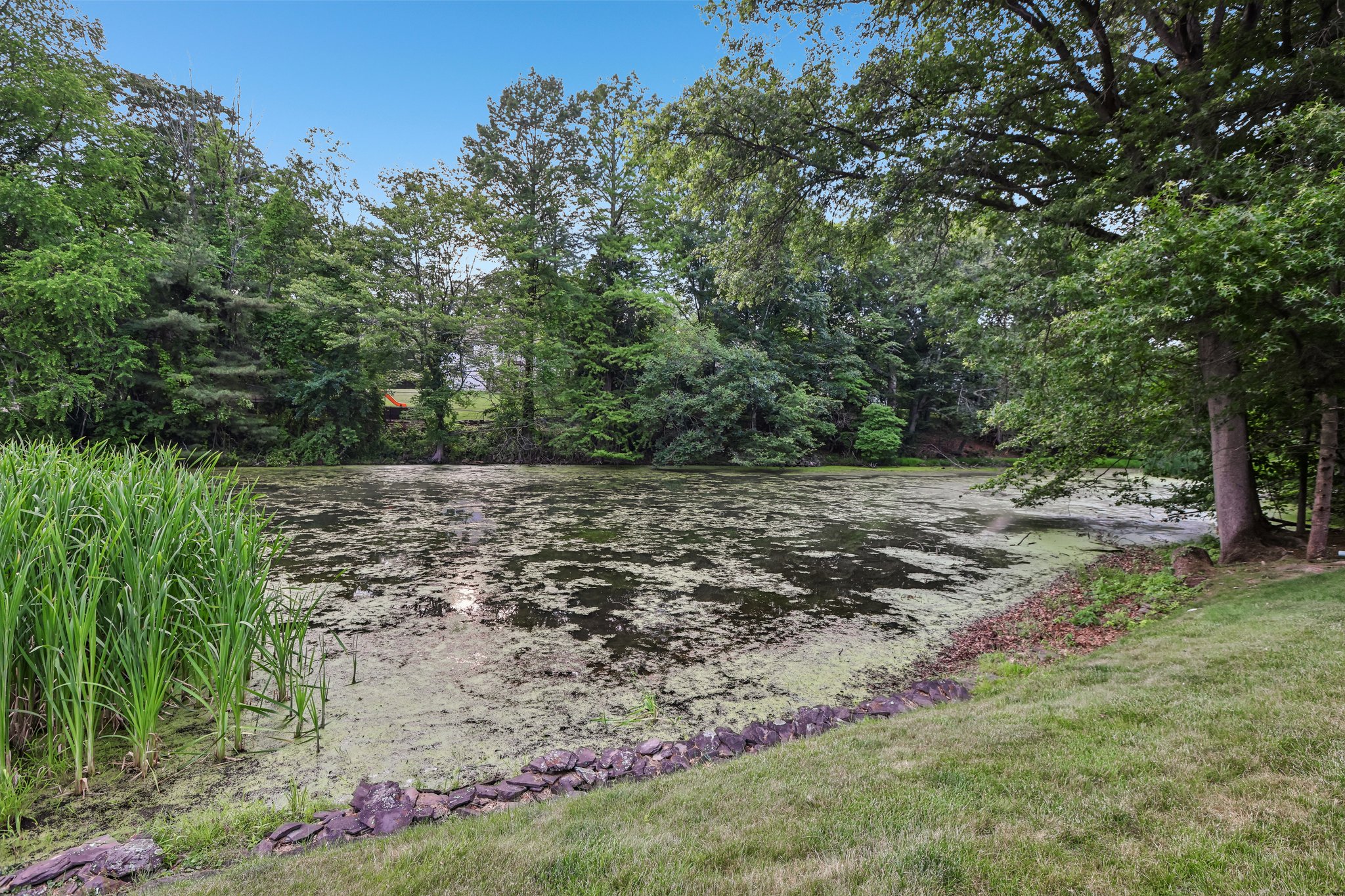 Saddle River Rd-S1106-010.jpg