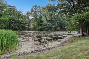 Saddle River Rd-S1106-010.jpg
