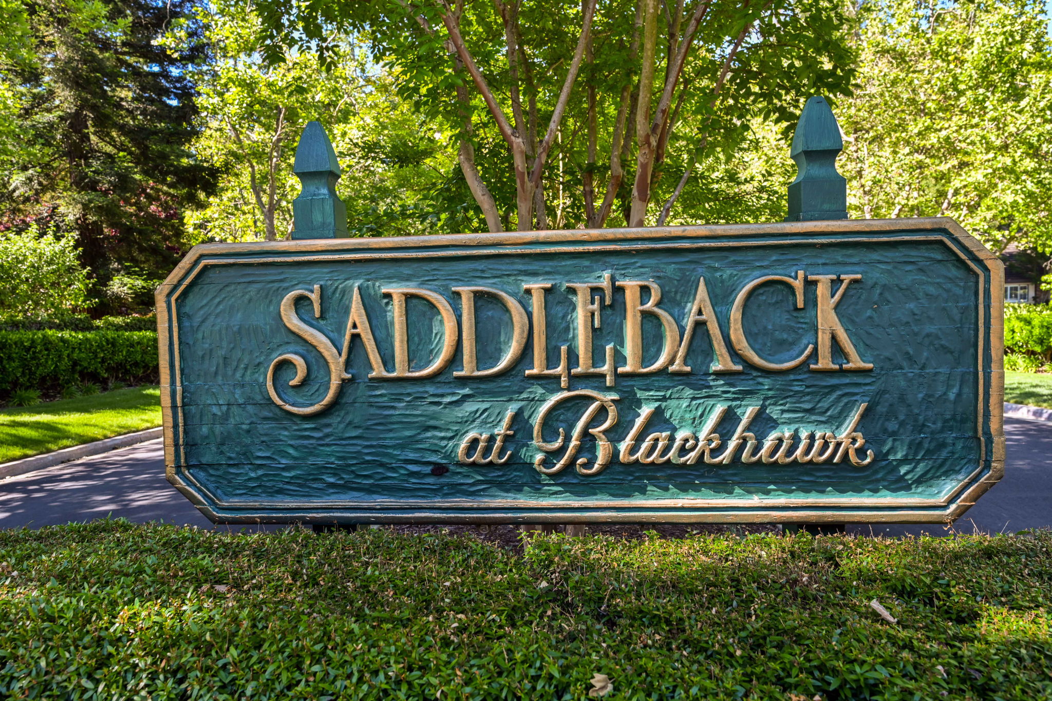  14 Saddleback Ct, Danville, CA 94506, US Photo 48